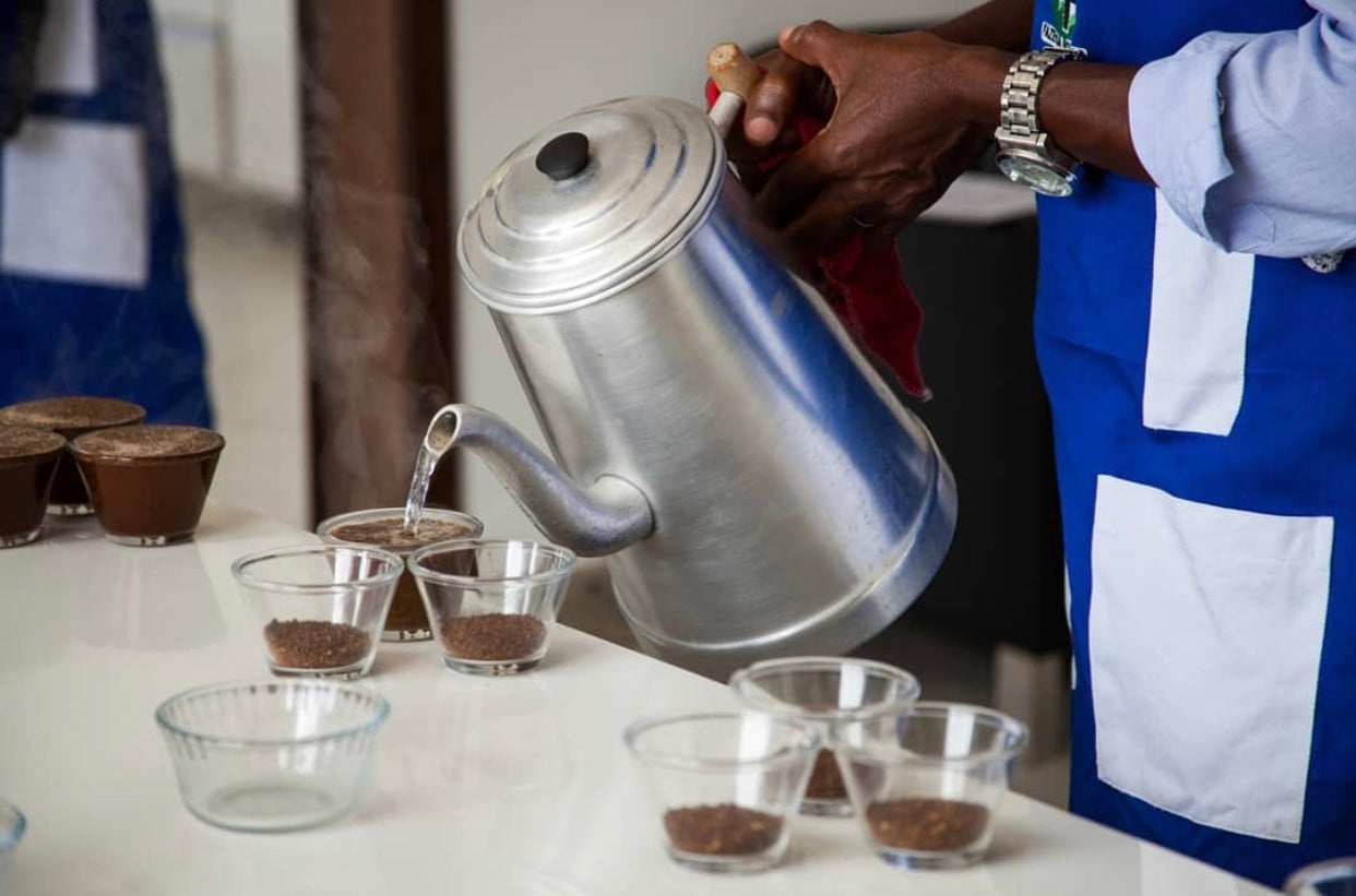 Coffee Cupping in Progress